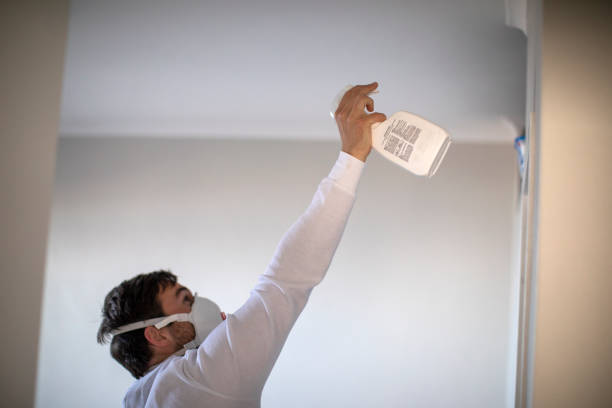 Best Preventive Mold Services in Elkridge, MD