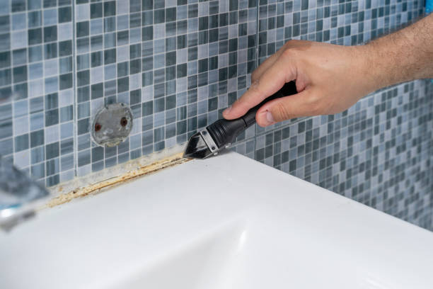 Best Residential Mold Remediation in Elkridge, MD